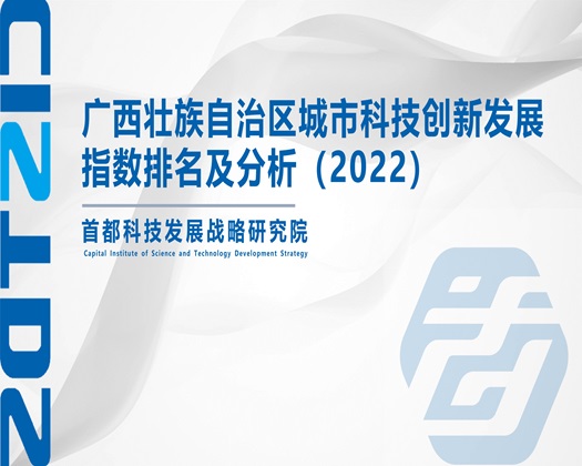 大黑鸡巴操B片【成果发布】广西壮族自治区城市科技创新发展指数排名及分析（2022）